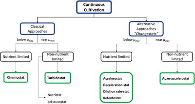 Continuous Cultivation as a Tool Toward the Rational Bioprocess Development With Pichia Pastoris Cell Factory